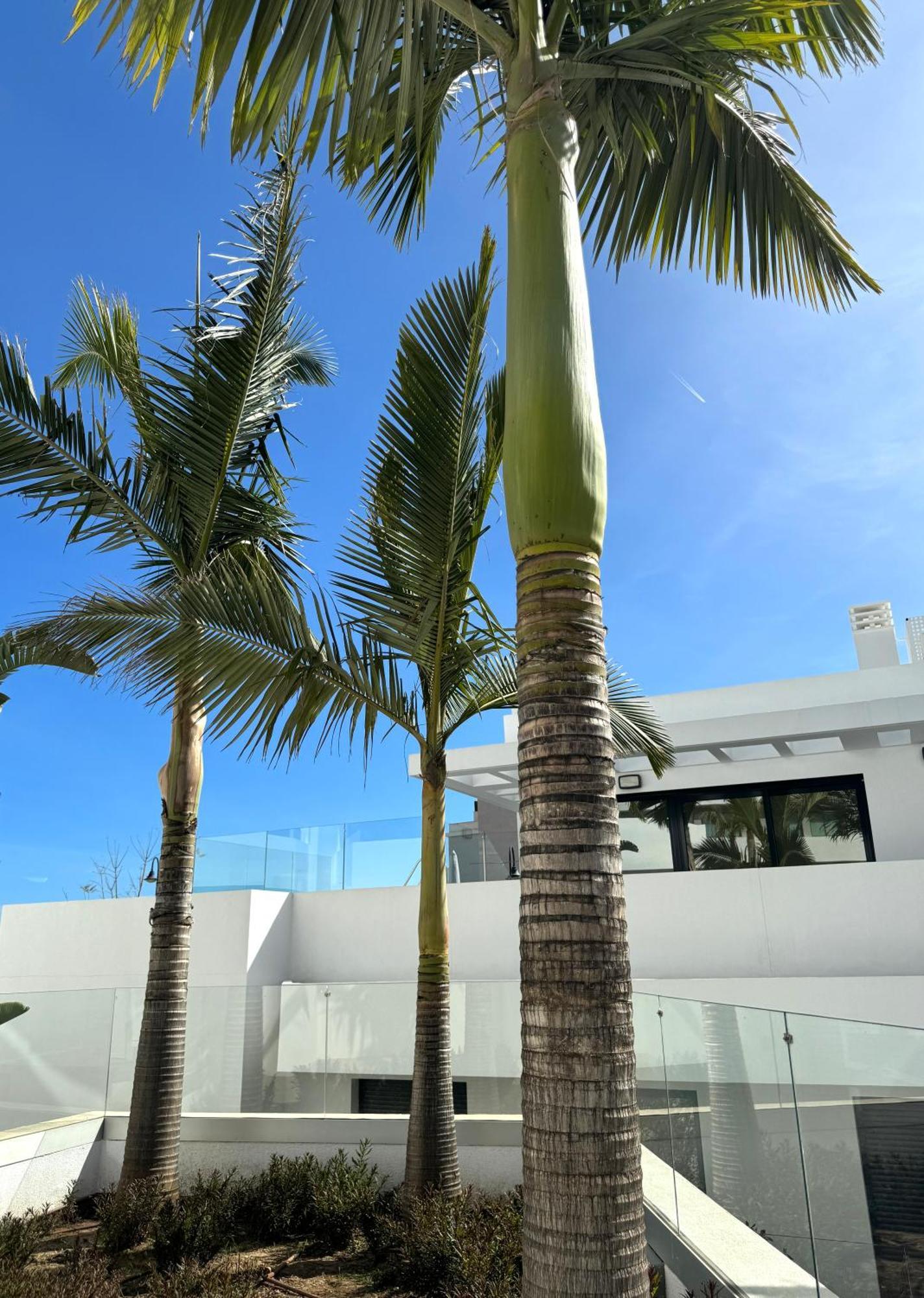 La Cala De Mijas - Dream Gardens Apartment
